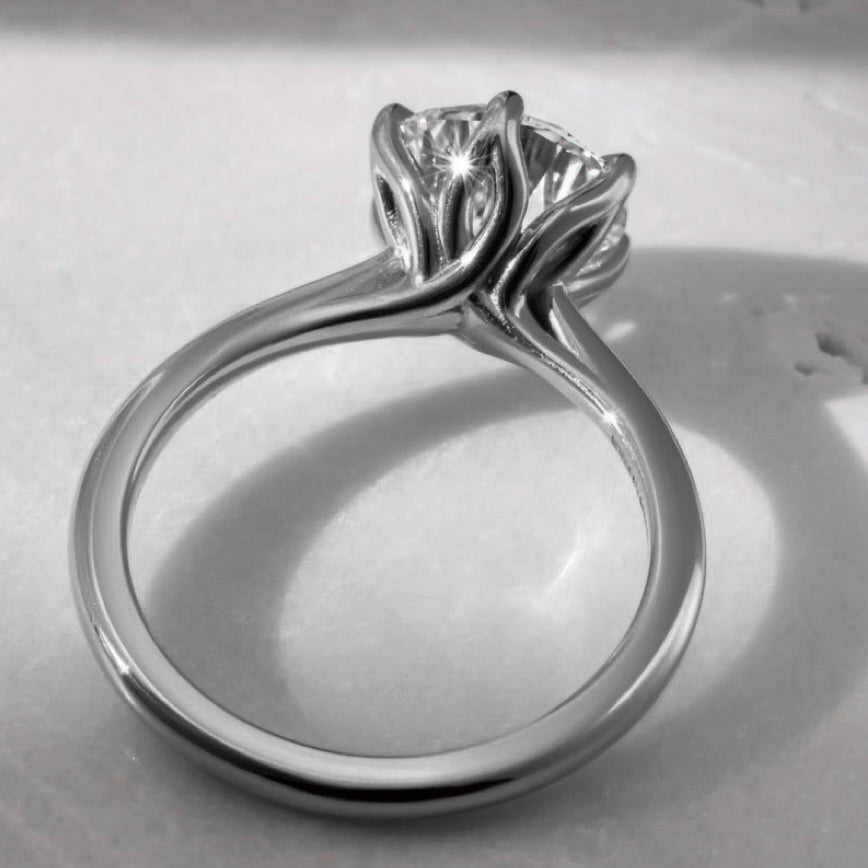 Jakes Engagement Ring Payment #2